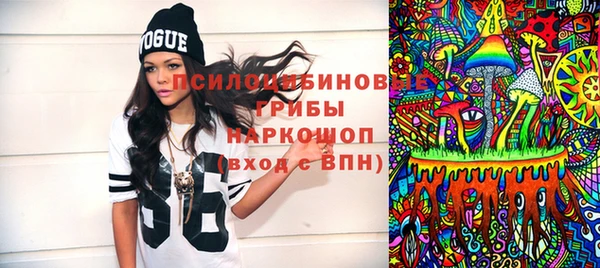 шишки Аркадак