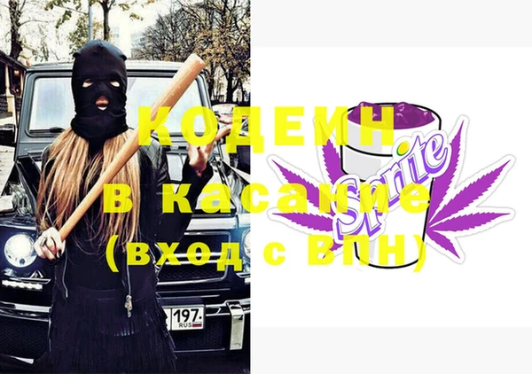 шишки Аркадак