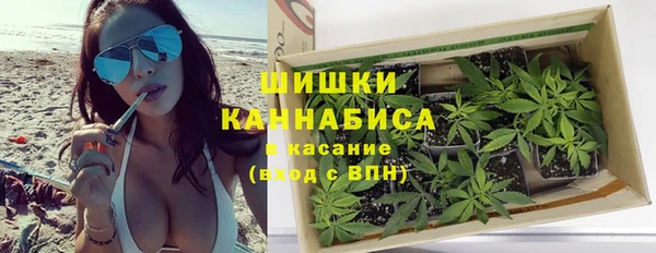 шишки Аркадак