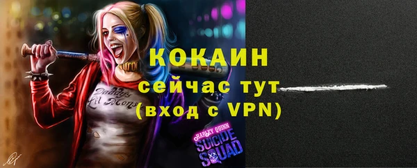 шишки Аркадак