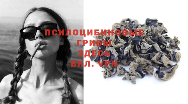 крисы Магас