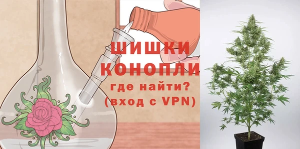 мескалин Арсеньев
