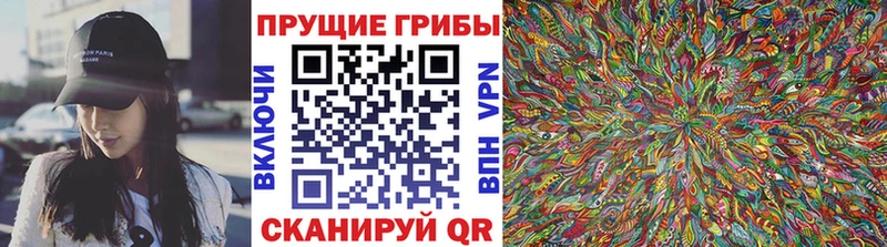 наркота  Радужный  Галлюциногенные грибы Cubensis 